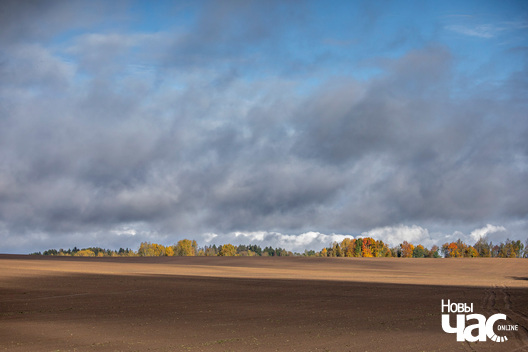 3/8 _belarus_vosen_kastrycznik_pali_2025_fota_novy_czas__2_.jpg