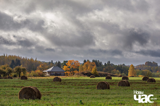 4/8 _belarus_vosen_kastrycznik_pali_2025_fota_novy_czas__3_.jpg