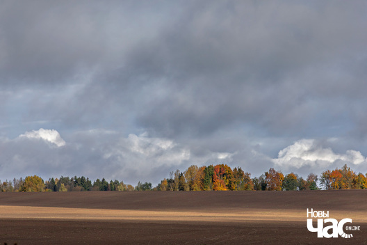5/8 _belarus_vosen_kastrycznik_pali_2025_fota_novy_czas__4_.jpg