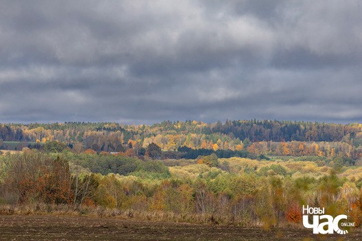 7/8 _belarus_vosen_kastrycznik_pali_2025_fota_novy_czas__6_.jpg