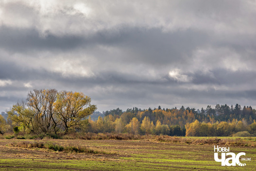 8/8 _belarus_vosen_kastrycznik_pali_2025_fota_novy_czas__7_.jpg