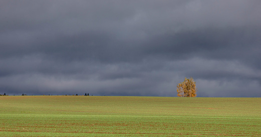 Восень у Беларусі: залатыя краявіды, забытыя храмы і вандроўка без мэты