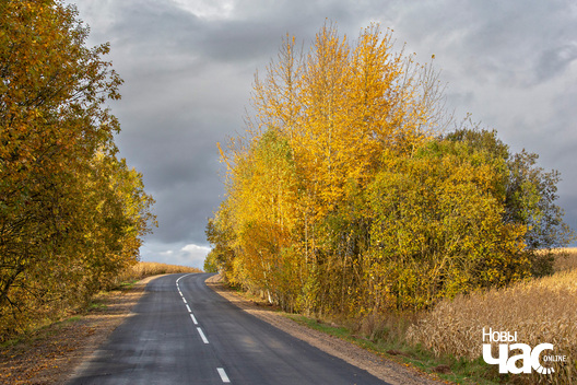 1/5 _belarus_vosen_kastrycznik_vandrouka_zakanczenne_2025_fota_novy_czas__1_.jpg