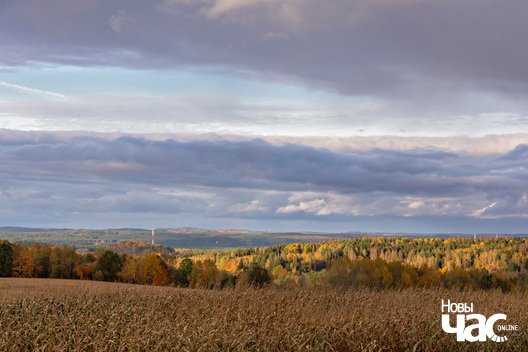 5/5 _belarus_vosen_kastrycznik_vandrouka_zakanczenne_2025_fota_novy_czas__5_.jpg