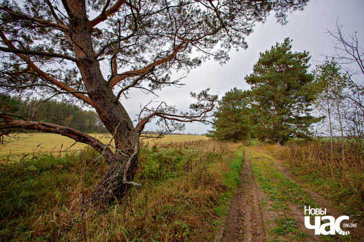 1/5 _belarus_vosen_krajavidy_2025_fota_novy_czas_1.jpg