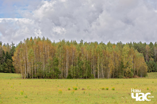 2/5 _belarus_vosen_krajavidy_2025_fota_novy_czas__1_.jpg