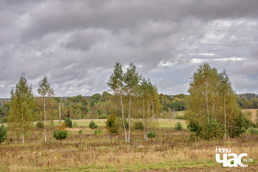 3/5 _belarus_vosen_krajavidy_2025_fota_novy_czas__2_.jpg