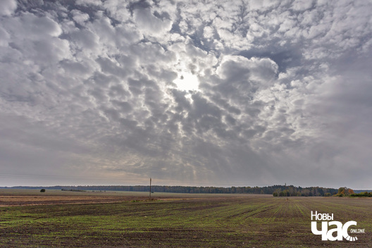 3/5 _belarus_vosen_krajavidy_2025_fota_novy_czas__3__1.jpg