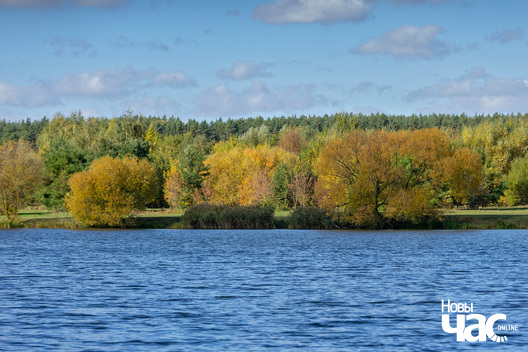 8/9 _belarus_vosen_nadvor_e_2022_szpacyry_fota_dzmitryeu_dzmitryj_novy_czas__17__logo.jpg
