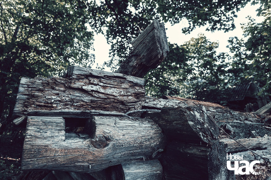 6/6 _belarus_voucza_nauhalnae_ruiny_2023_fota_novy_czas__6__logo.jpg