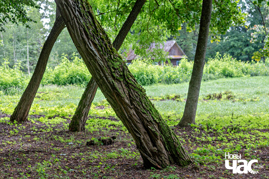 5/8 _belarus_zakazel_kaplica_park_2025_fota_novy_czas__4_.jpg