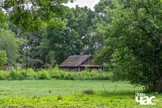 6/8 _belarus_zakazel_kaplica_park_2025_fota_novy_czas__5_.jpg