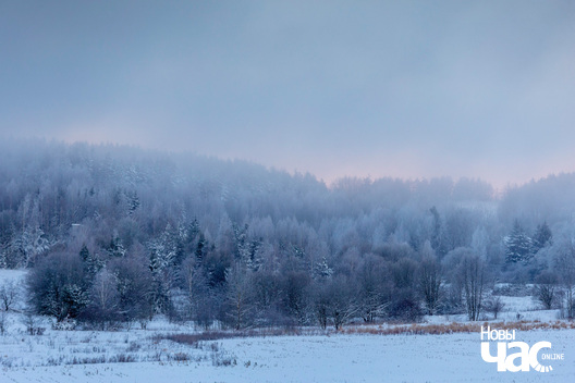 1/4 _belarus_zima_ranica_pracjah_2024_fota_novy_czas_logo.jpg