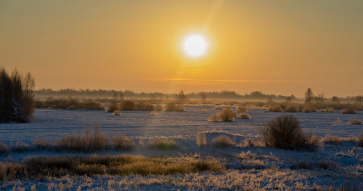 Навукоўцы ставяць свае датчыкі і мікрафоны паўсюль: нашто слухаць прыроду Зямлі?