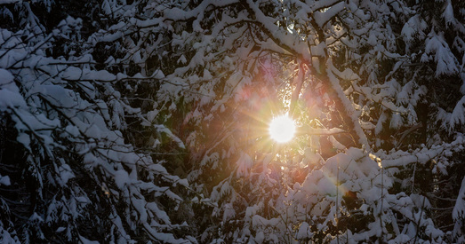 Тэрапія прыродай: як палепшыць свой псіхалагічны стан з дапамогай навакольнага асяроддзя