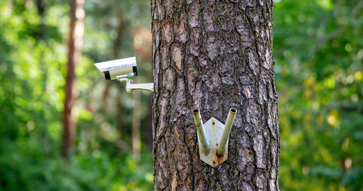 Як беларусам пазбавіцца пачуцця страху
