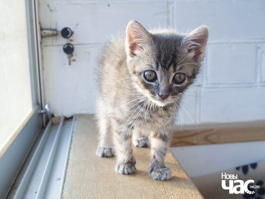 3/4 _ca04393d_logo.jpg