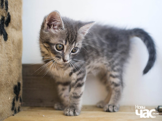 _ca04446_logo.jpg _ca04446_logo.jpg