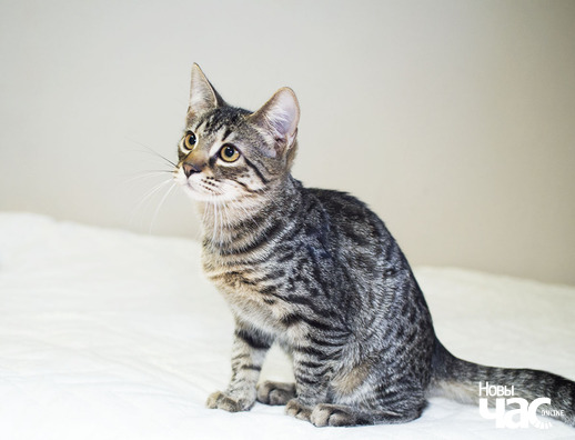 8/12 _ca24030_logo.jpg