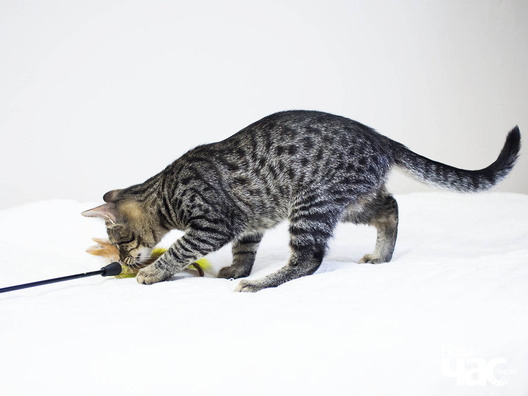 _ca24051d_logo.jpg _ca24051d_logo.jpg