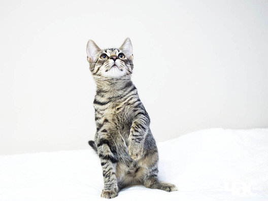 11/12 _ca24057_logo.jpg