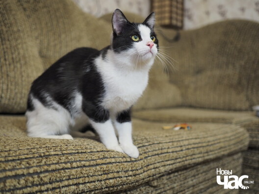 _ca84555_logo.jpg _ca84555_logo.jpg