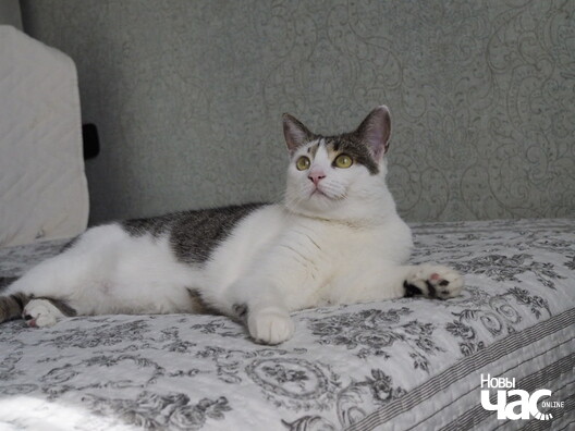 _ca90372_logo.jpg _ca90372_logo.jpg