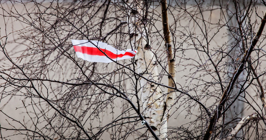 Пікет у 6 раніцы ў пад'ездзе: мінчук выгукнуў «правакацыйныя лозунгі «Жыве Беларусь!»