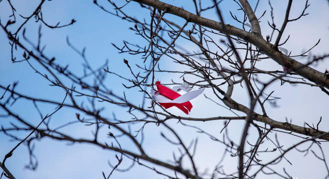 Страх перад Будучыняй Страх перад Будучыняй