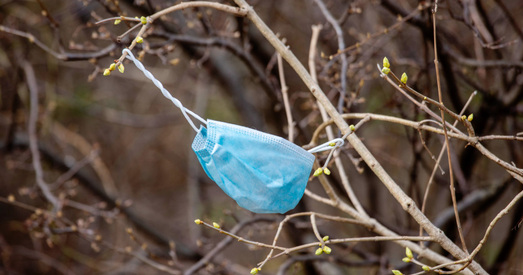 Колькі каштуе стварэнне беларускай вакцыны ад каронавіруса?