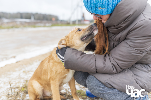 _dsc3432_logo.jpg _dsc3432_logo.jpg