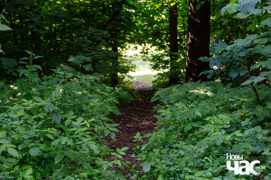 5/7 _harezlivy_pacalunak_kazaczny_les_fota_dzmitryeu_dzmitryj_novy_czas__6__logo.jpg