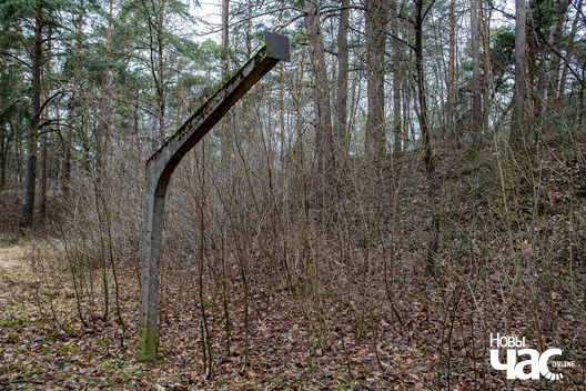 11/12 _harodnja_lesapark_pyszki_fota_dzmitryeu_dzmitryj_novy_czas__12__logo.jpg