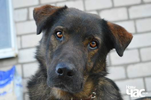 _k_0ym67yve_logo.jpg _k_0ym67yve_logo.jpg