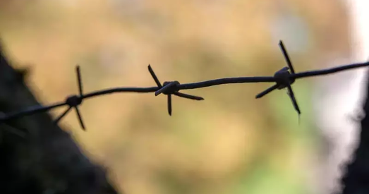 Пётр Рудкоўскі — пра зварот нобелеўскіх лаурэтаў