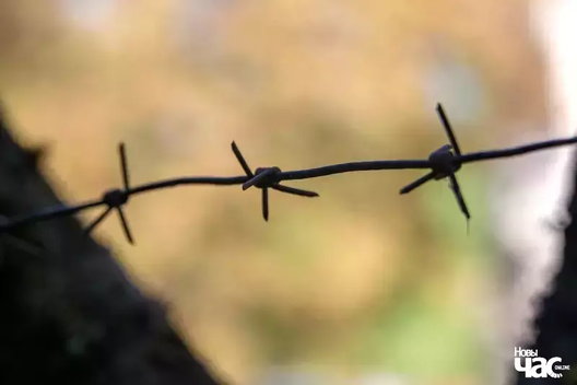 _kaljuczka___kraty___njavolja__fota__novy_czas__2__logo_1_logo.jpg_logo_1_logo_1.webp _kaljuczka___kraty___njavolja__fota__novy_czas__2__logo_1_logo.jpg_logo_1_logo_1.webp