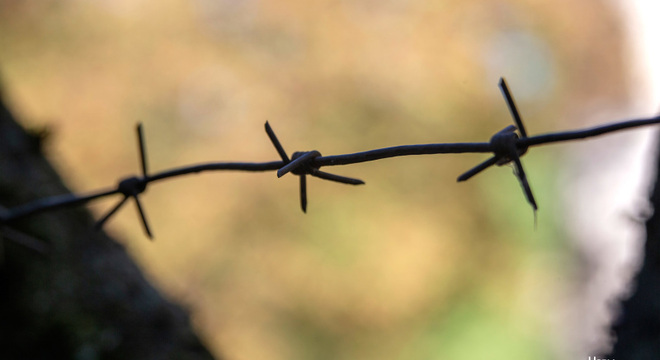 Лукашэнка зноў спрабуе знайсці сабе іншага гаспадара Амністыя як гістарычная няўмольнасць