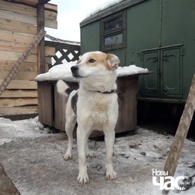 _m8c1a8717o_logo.jpg _m8c1a8717o_logo.jpg