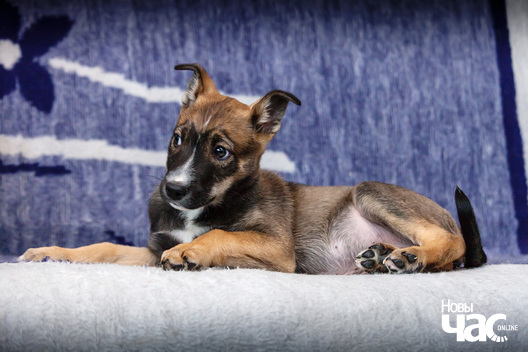 6/8 _mg_0389_logo.jpg