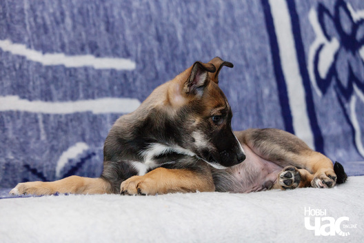 5/8 _mg_0400_logo.jpg