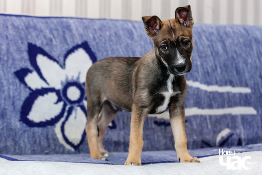 8/8 _mg_0411_logo.jpg