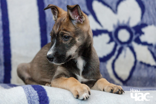 3/8 _mg_0419_logo.jpg