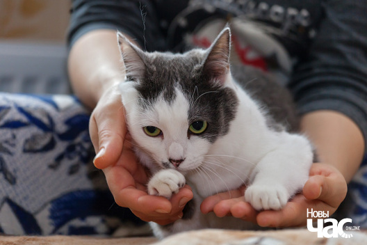 _mg_1437_logo.jpg _mg_1437_logo.jpg