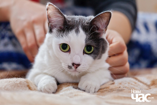 _mg_1440_logo.jpg _mg_1440_logo.jpg