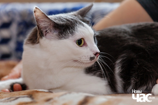 _mg_1442_logo.jpg _mg_1442_logo.jpg