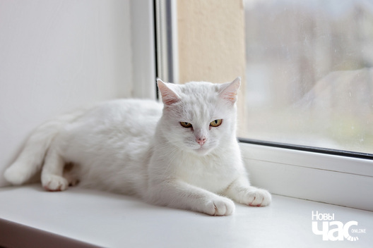 _mg_1502_logo.jpg _mg_1502_logo.jpg