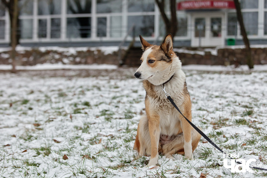 4/8 _mg_2404_logo.jpg