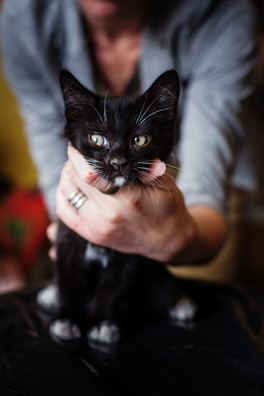 5/9 _mg_3625_logo.jpg