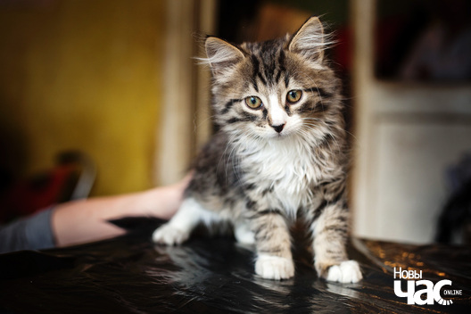 7/9 _mg_3630_logo.jpg