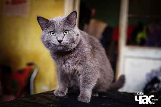 _mg_3657_logo.jpg _mg_3657_logo.jpg